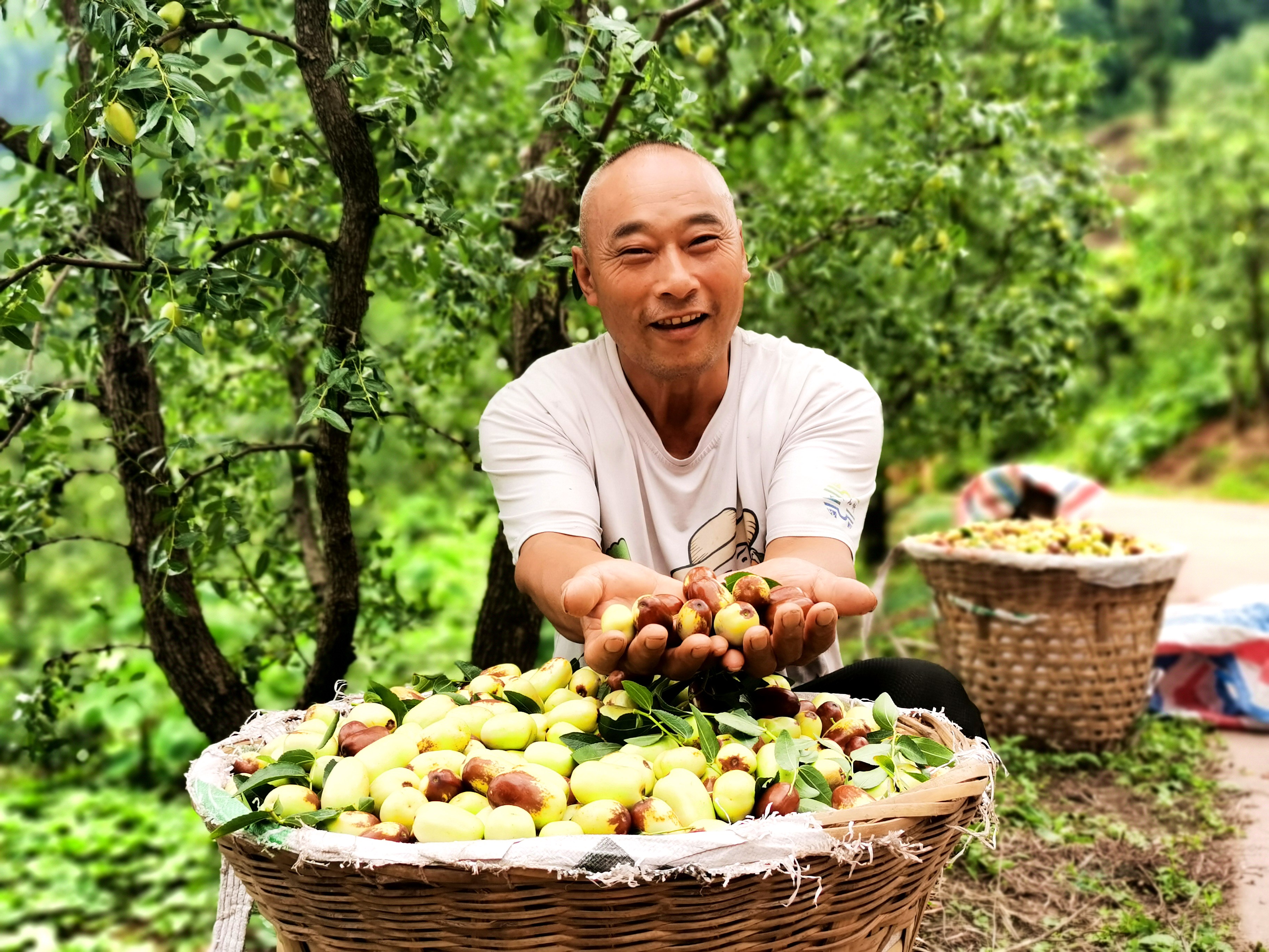 徐元权手捧鲜枣。.jpg