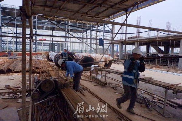 工人们有条不紊抓建设。.JPG
