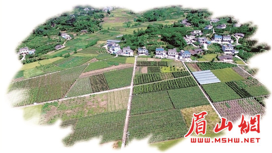 丹棱县人口_眉山市丹棱县风玫瑰图(2)