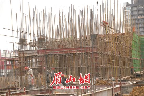 各司其职抓建设。.jpg