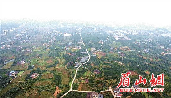 1 (1)_副本1.jpg