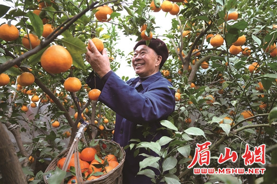 1 (1)_副本2.jpg