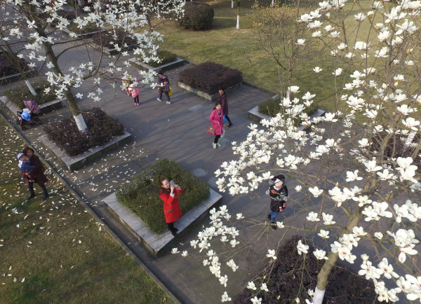 春天来了！去眉山的公园赏花吧