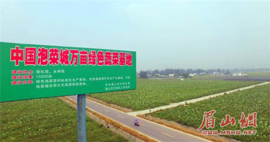 02.jpg