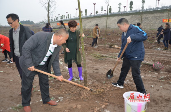 春季植树正当时   东坡区新种植树木近千株