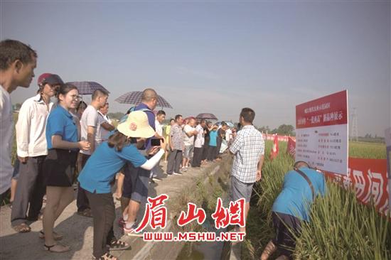 技术培训现场。.jpg