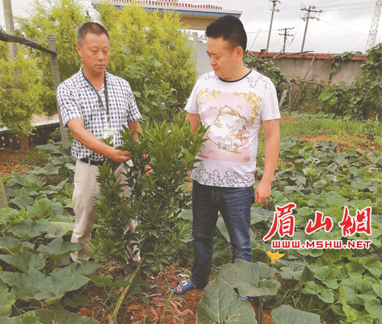4副本.jpg