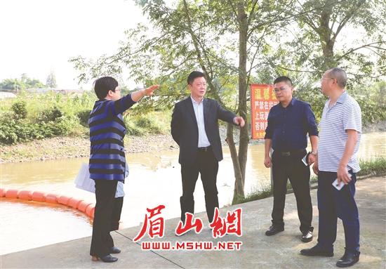 孙剑在太和镇毛河流域检查毛河治理情况。.jpg