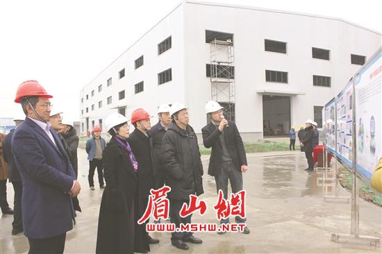 郭勇（右二）考察四川能投川化新材料公司项目建设现场。.jpg