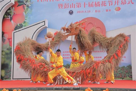 开幕式上的草龙表演。.jpg