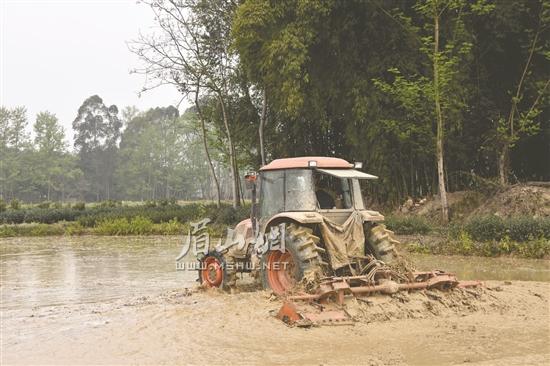 农用拖拉机在地里进行打田作业。.jpg