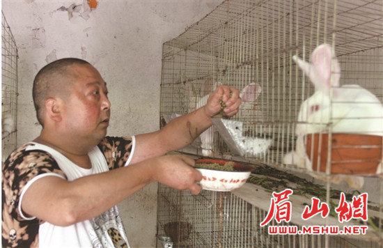 res10_attpic_brief_副本2.jpg