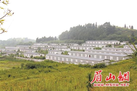 规模化的养殖产业基地。.jpg