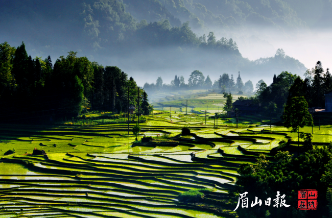 七里坪风景区高庙镇丛林村。朱浩  摄