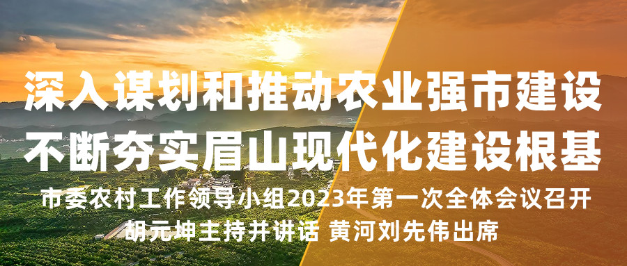 题图1_副本.jpg