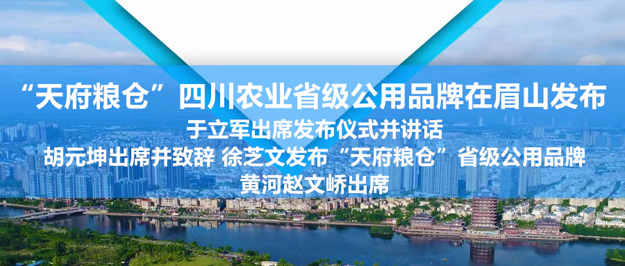 标题图00_副本.jpg