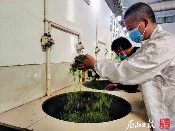 手工炒茶。