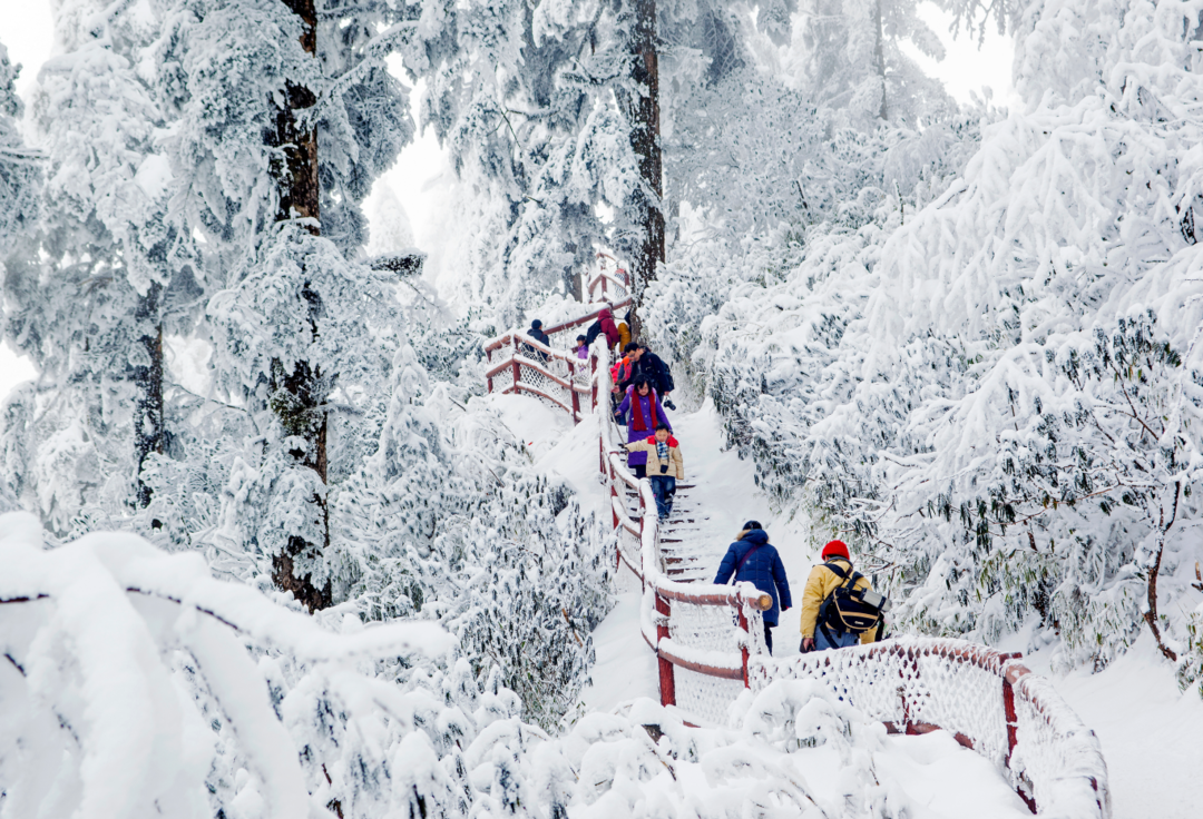 《瓦屋雪中游》张平  摄于瓦屋山风景区.png