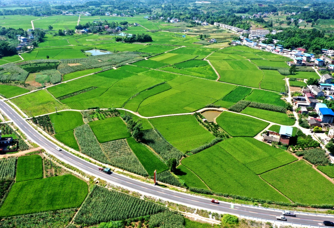 乡村美景。.jpg