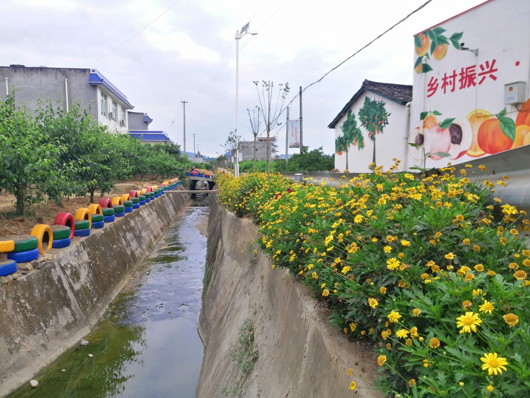 改善人居环境，艾光村当前的村容村貌.jpg