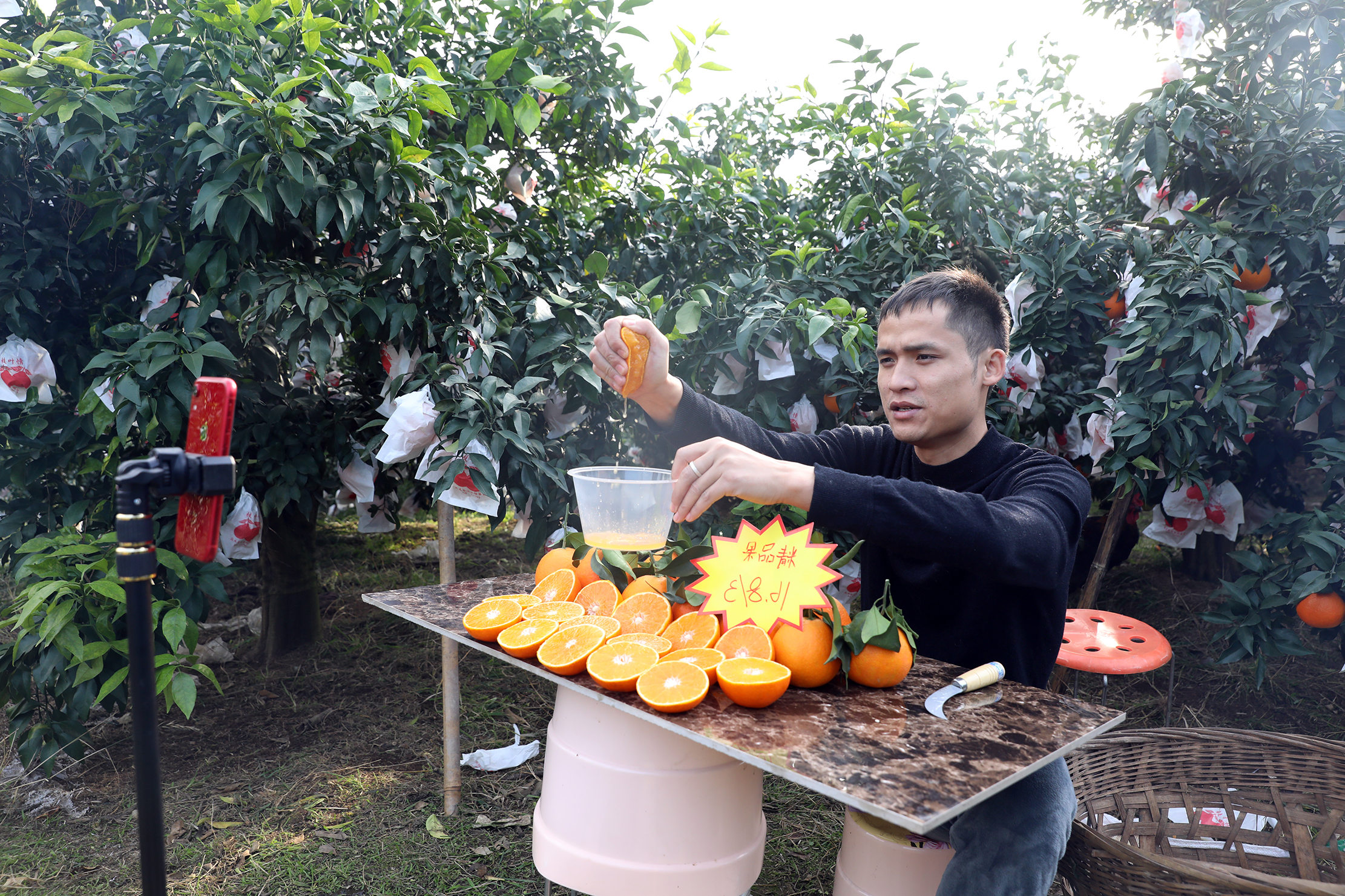  红石村将电商作为柑橘销售重点发展方向。