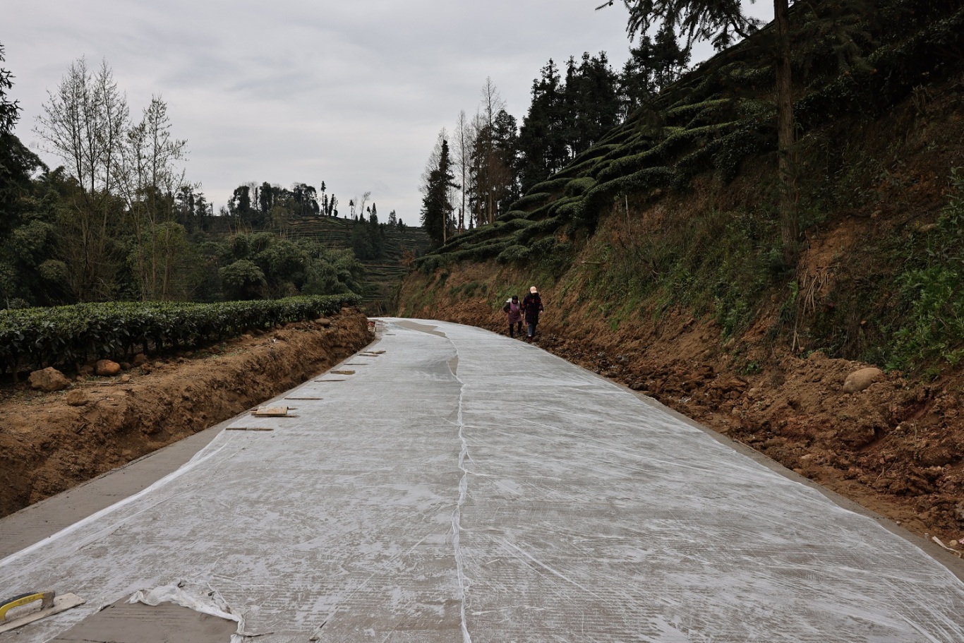 阳坪村以工代赈项目已完成路面硬化的道路.JPG