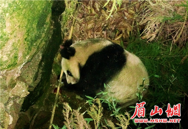 W020171201369644070624_副本.jpg W020171201369644070624_副本.jpg