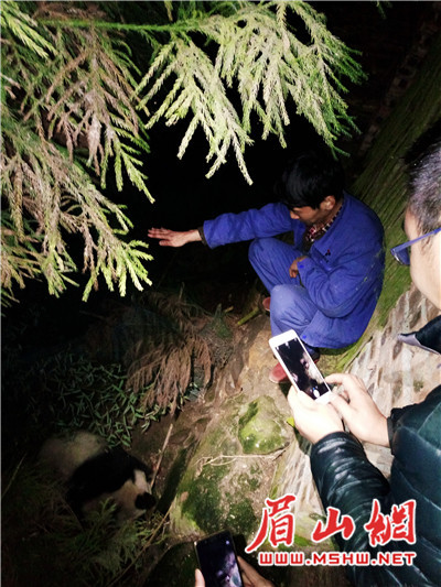 W020171201369643853234_副本.jpg W020171201369643853234_副本.jpg