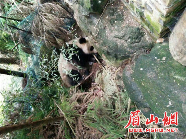 W020171201369633113634_副本.jpg W020171201369633113634_副本.jpg