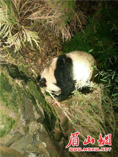 W020171201369633219119_副本.jpg W020171201369633219119_副本.jpg
