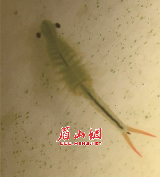 1副本.jpg