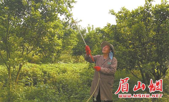 res10_attpic_brief_睡衣.jpg