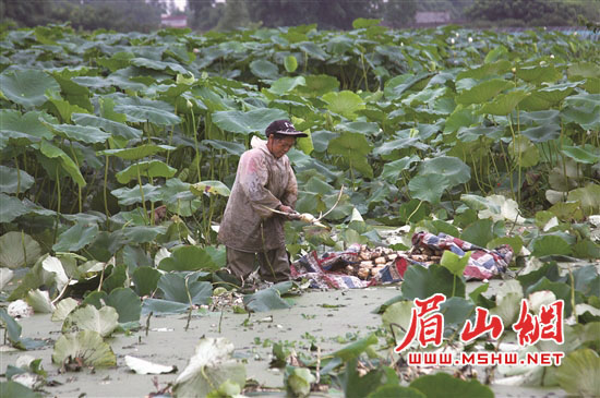 1副本.jpg
