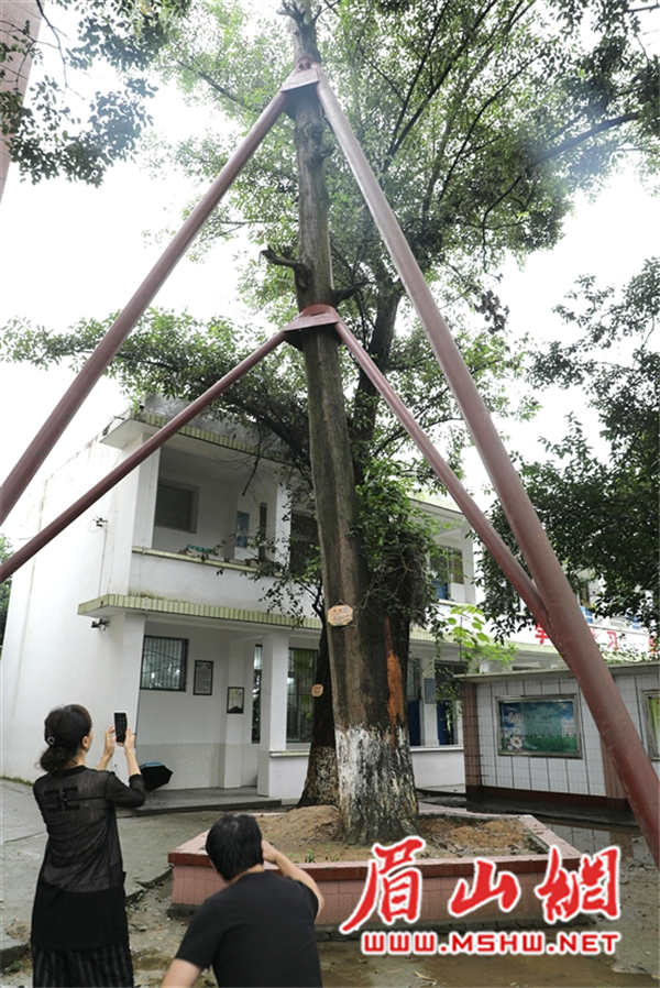 3.JPG