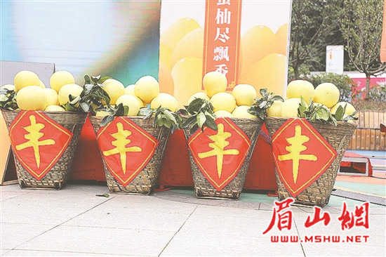 3_副本.jpg