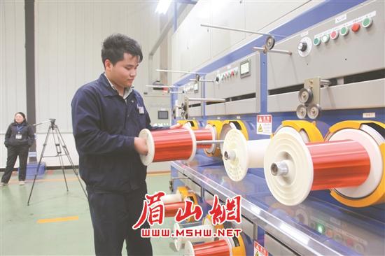格力电工（眉山）有限公司生产车间内，工人认真作业。.jpg