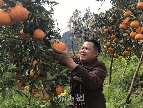 QQ图片20190308151404.jpg