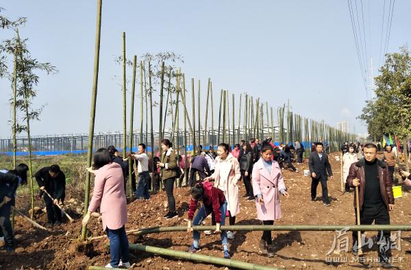 植树现场。李代华摄1.jpg