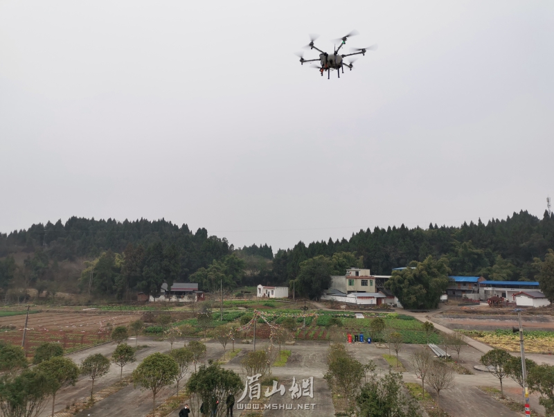 微信图片_20200131125624.jpg