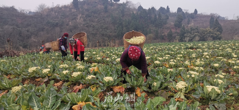 微信图片_20200131150502.jpg