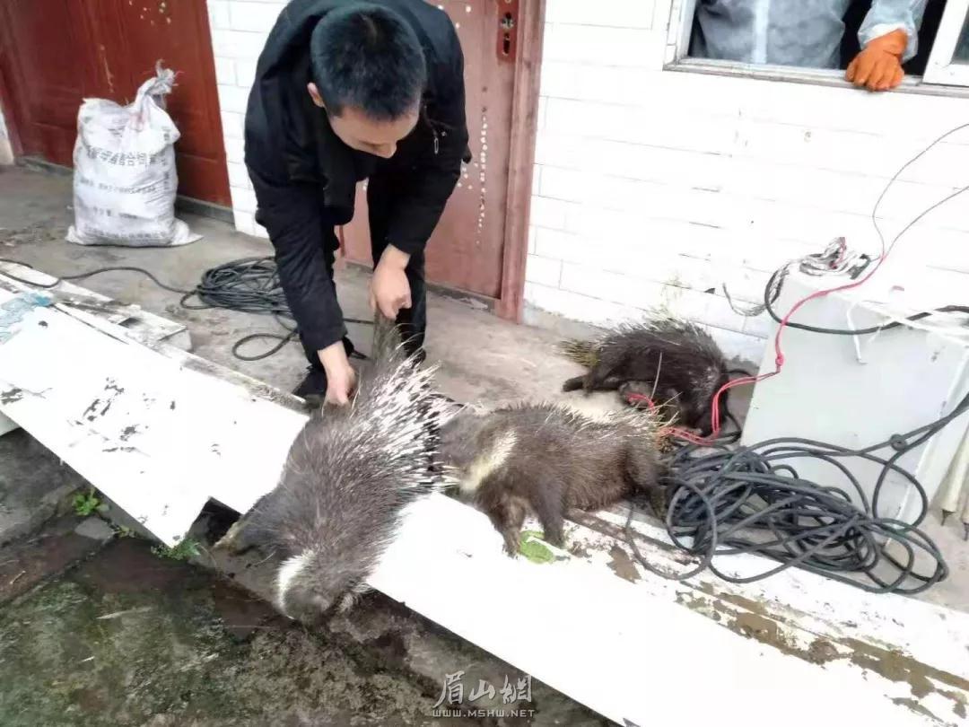 微信图片_20200131154553.jpg