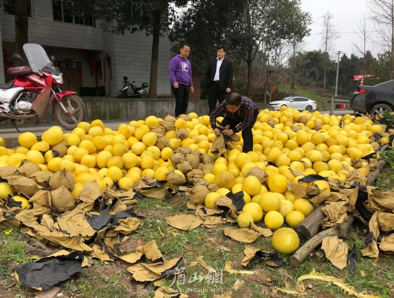 微信图片_20200201144654.jpg