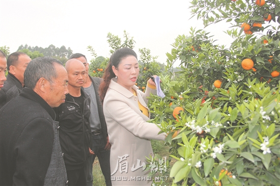 刘桂英（右1）给果农讲解种植技术。.jpg