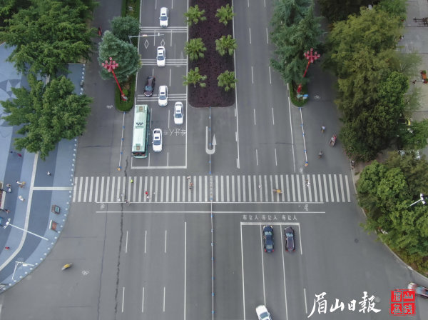 车辆自觉礼让行人。眉山在线记者 雷同 摄