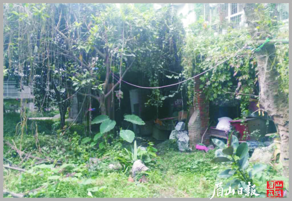 80号小区改造前。