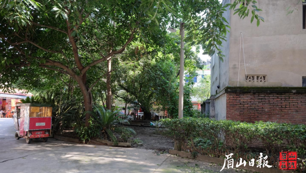 工务段小区改造前。