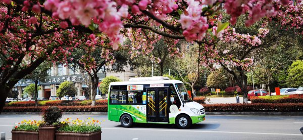 湖滨路花枝摇曳，景致优美。 眉山日报全媒体记者 李红利 摄