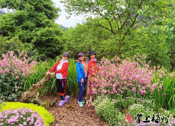 梅州采访团镜头下的幸福古村。
