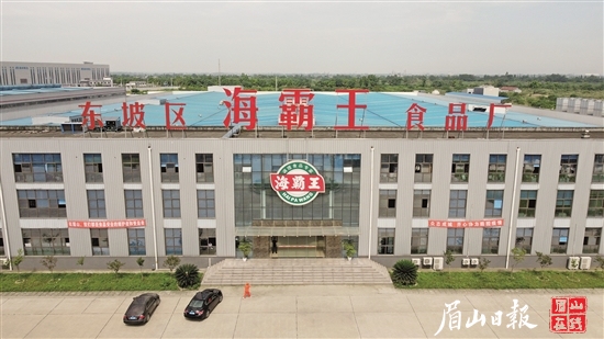 海霸王冷冻食品生产基地项目一期已建成投产。