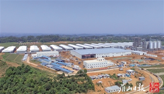 正大300万只蛋鸡种养循环产业园项目首批鸡苗已进驻青年鸡场。